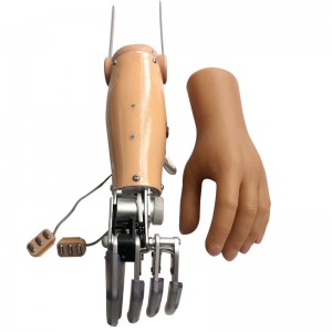 Manufactur standard China Prosthetic Myoelectric Control Hand Arm with 3 Degrees of Freedom for Ae