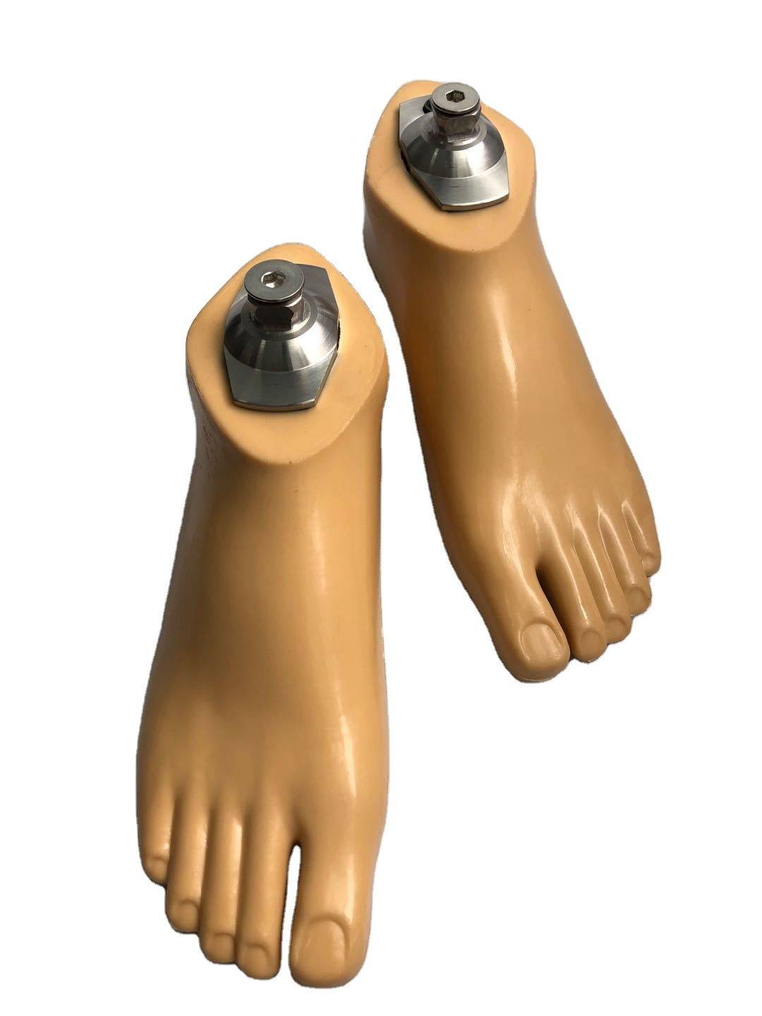 Reliable Supplier Free Motion Knee Bar - 100% Original Factory China Artificial Foot Carbon Fiber Storage Energy Foot – Wonderfu