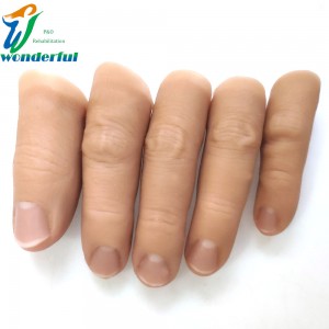 Beauty prosthetic silicone finger
