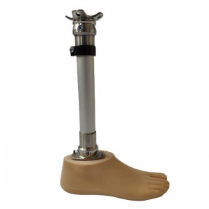 Prosthetic Leg Manufacturer and Supplier Prosthetic Components Lower Artificial Limbs BK Kits