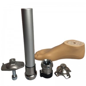Prosthetic Leg Manufacturer and Supplier Prosthetic Components Lower Artificial Limbs BK Kits