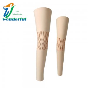 Low MOQ for Double Axis Ankle Joint - Medical Artificial limbs Prosthetic Leg AK EVA Cosmetics Foam Leg Cover – Wonderfu