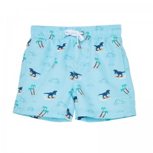 2022 Dinosaur fashion summer boys shorts custom children boys digital printed shorts little boys swimming shorts