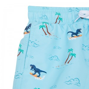 Модныя летнія шорты для хлопчыкаў дыназаўраў 2022 г. Індывідуальныя дзіцячыя шорты для хлопчыкаў з лічбавым прынтам шорты для маленькіх хлопчыкаў шорты для плавання