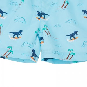 2022 Dinosaur fashion summer boys shorts custom na bata boys digital printed shorts little boys swimming shorts