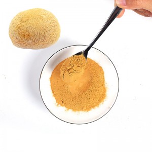Quality Inspection for China Factory Supply Natural Lions Mane Mushroom Extract Powder