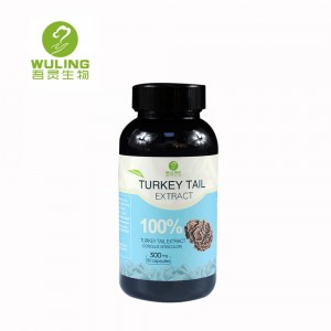 China Wholesale China Mushroom Capsules Suppliers - Organic Turkey Tall Extractive Capsules – Wuling