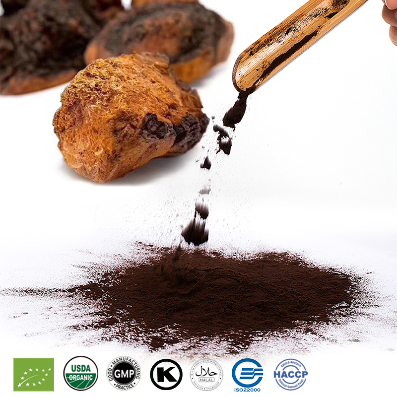 Chaga Extract Powder Featured Image