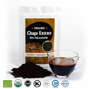Chaga Extract Powder Bag Mushroom Supplements