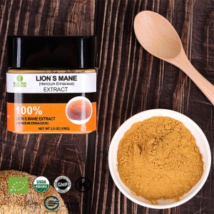 Lion’s Mane Extract Immune-Boosters Mushroom Supplements