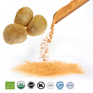 Lions Mane Mushroom Extract Powder Bag Mushroom Supplements