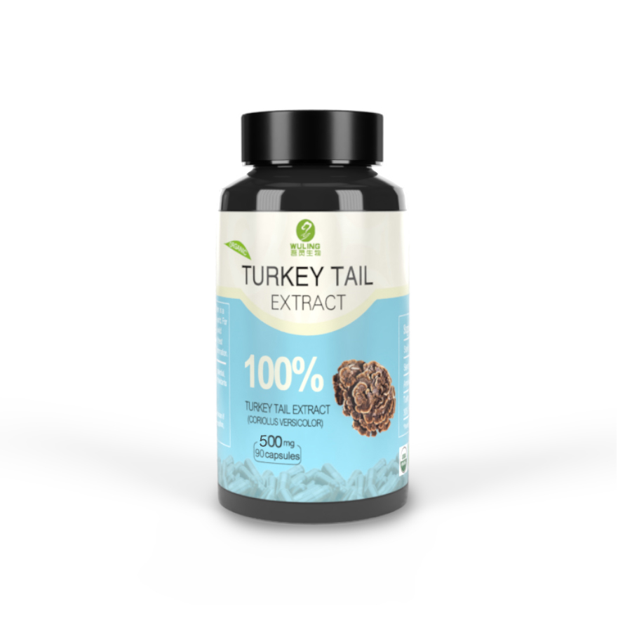 Turkey Tail Mushroom Capsule  (Two Month Supply – 90 Count) Vegan Supplement – Real Immune System and Digestive Support Featured Image