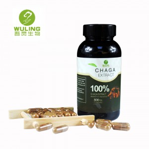Chaga Capsules Immune System Booster 90 Veggie Pills