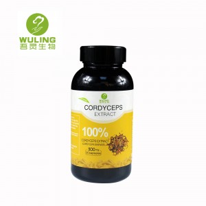 China Wholesale China Males Capsule Quotes - Cordyceps Militaris Capsules Immune System Booster 90 Veggie Pills – Wuling
