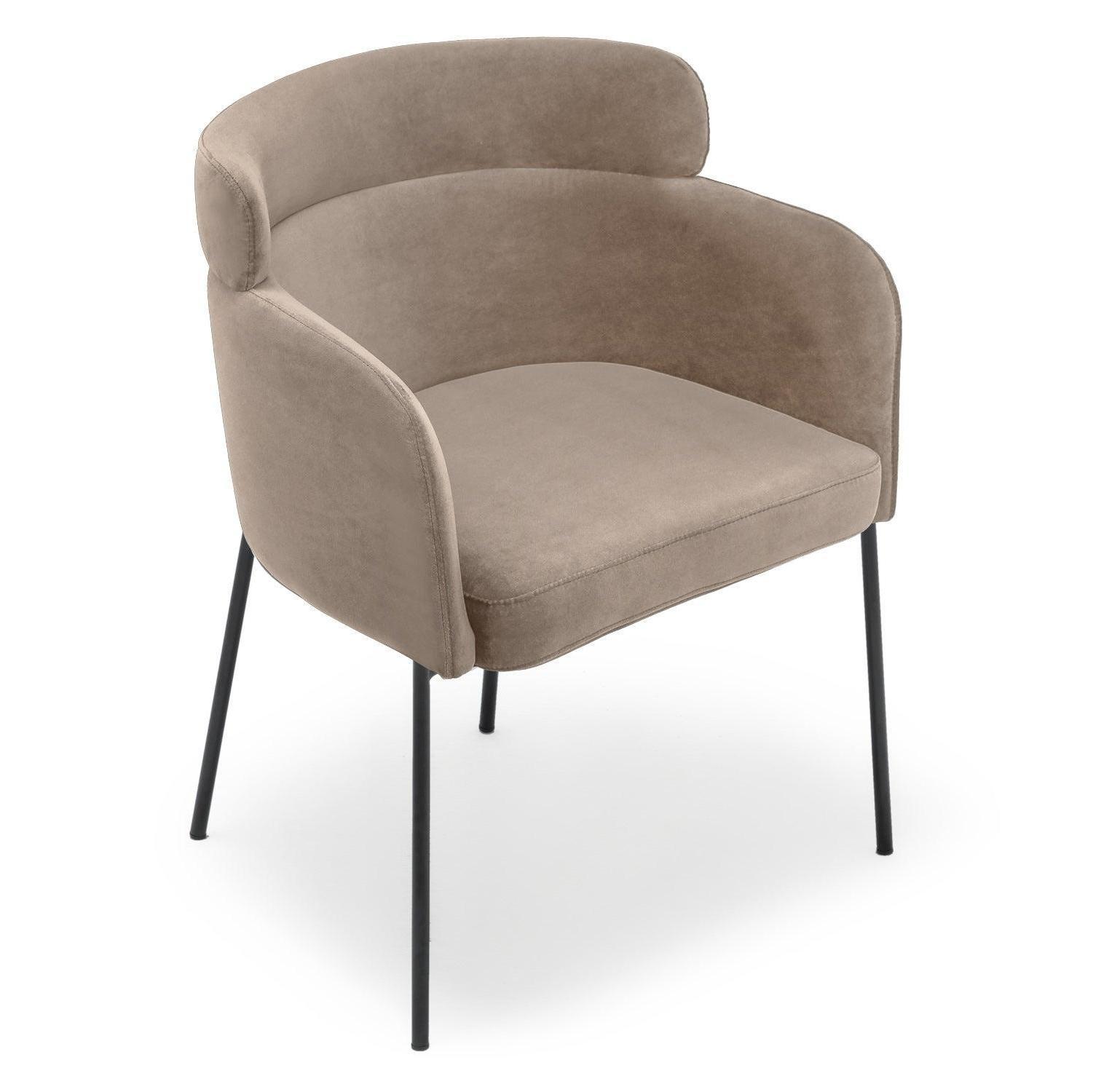 Minimalist Design Leisure Dining Chair