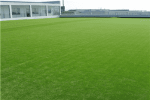 One of Hottest for Laying Artificial Grass - 45mm Premium Autumn commercial Synthetic turf – X-Nature