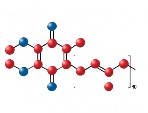 koenzim larut dalam lemak q10 98% bubuk Koenzim Q10 softgel kapsul khusus ubiquinone