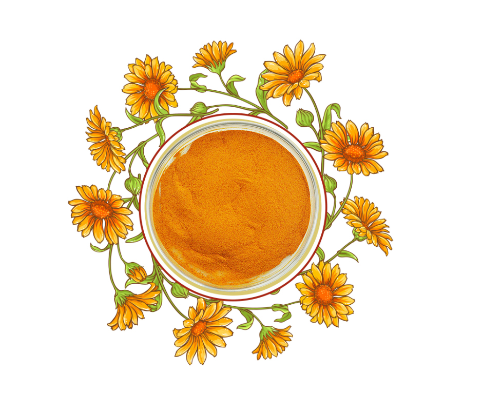 Calendula Extract Zeaxanthin Products: The New Favorite for Health and Beauty"