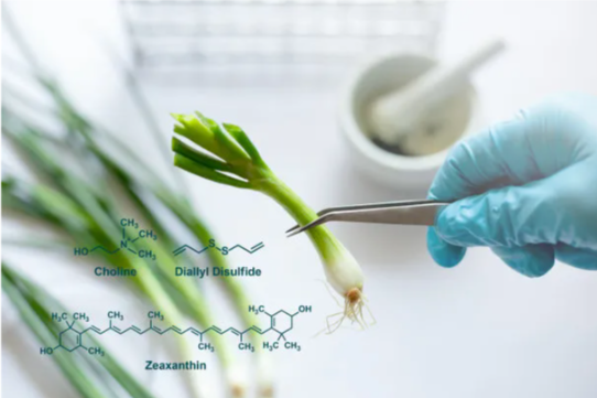Calendula-extract zeaxanthine-producten worden nieuwe favoriet