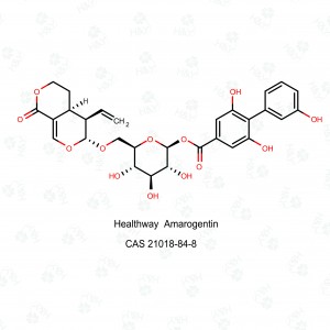 រោងចក្រលក់ដុំផ្គត់ផ្គង់ចំរាញ់ចេញពី Bulk Gentian amarogentin 97% សម្រាប់លក់