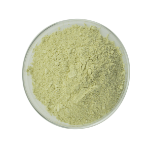Usine bon marché fabricant professionnel plante Sophora Japonica extrait de la poudre de rutine 95 %