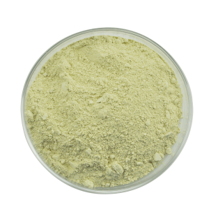 قیمت عمده چین با کیفیت بالا Sophora Japonica Extract Rutin Powder CAS 153-18-4