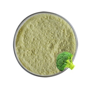 Capsula in polvere di estratto di semi di broccoli Sulforafano