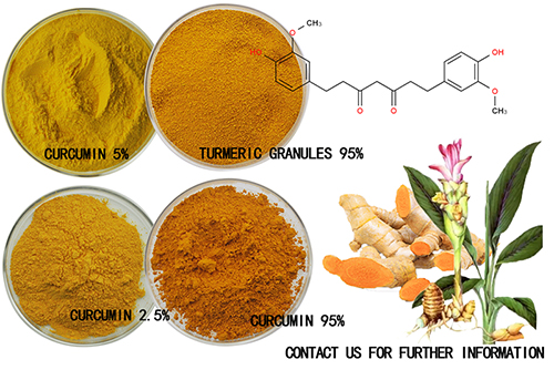Famous-region curcumin Supplier - How to buy Turmeric different curcumin powder Turmeric granules