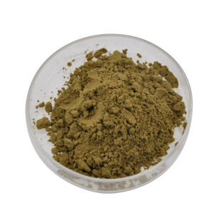 Gute Qualität Wellgreen Bulk Andrographis Paniculata Extrakt Pulver 10 % Andrographolid