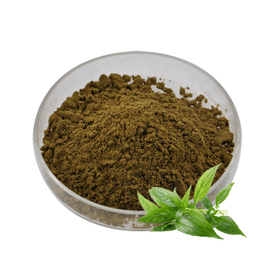 Boa qualidade Wellgreen granel andrographis paniculata extrato em pó 10% andrographolide