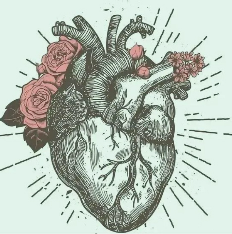Gode ​​nyheder for hjerte-11-funktionerne af coenzym Q10