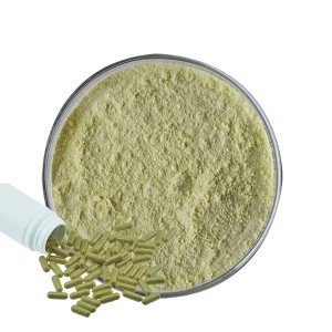 Capsula in polvere di estratto di semi di broccoli Sulforafano