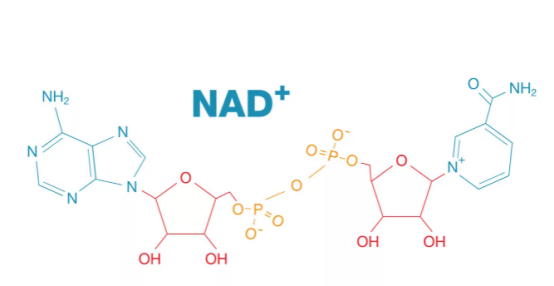 Produk NAD+ Healthway mempunyai beberapa titik jualan