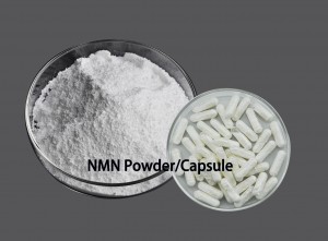 Fornitura diretta in fabbrica capsule nmn personalizzate antietà da 500 mg