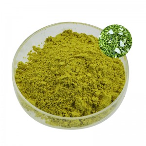 Cheap PriceList for E. K Herb Factory 12 Years Supply 100% Natural Pure Sophora Japonica Extract Rutin Quercetin 95% 98% CAS 153-18-4
