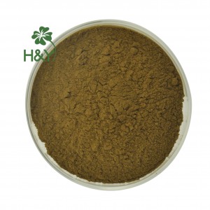 پودر رزمارینیک اسید عصاره بادرنجبویه با کیفیت بالا 2%-10%
