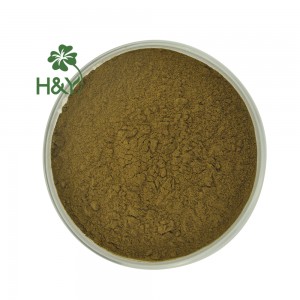 Extrato de erva-cidreira de alta qualidade, ácido rosmarínico em pó 2%-10%