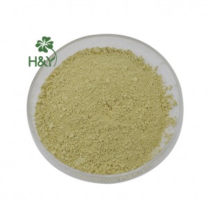 Healthway Scutellaria Baicalensis Extract Baicalin 85% HPLC Top Supplier