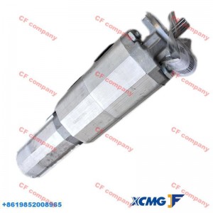 New Arrival China XCMG Crane Oil Pressure Sensor - XCMG Crane Parts Original Parts Right-handed Oil Pump 803000260 – Chufeng