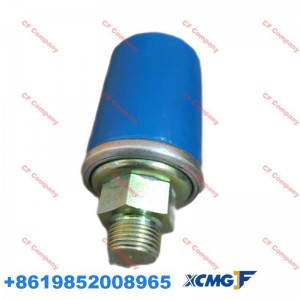 XCMG Accessories XCMG Crane Spare Parts China Heavy Industry Hangzhou Engine Accessories Oil Pressure Sensor HG1,500,099,951