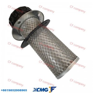 XCMG Loader Fuel Filter Oil Filter  XGKL-10X0.63 (QL-8)*803164217