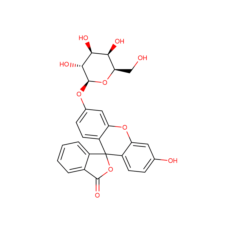 New Arrival China 4-Nitrophenyl-Alpha-D-Glucopyranoside - FLUORESCEIN MONO-BETA-D-GALACTOPYRANOSIDE Cas:102286-67-9 99% White powder – XD BIOCHEM
