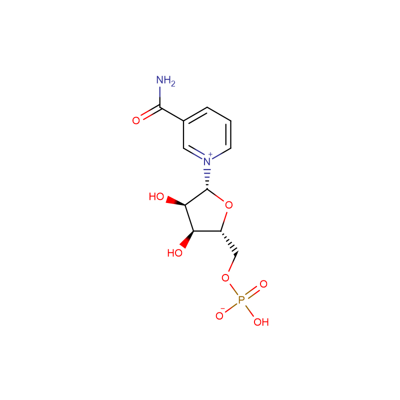 β-Nicotinamide Mononucleotide   Cas: 1094-61-7