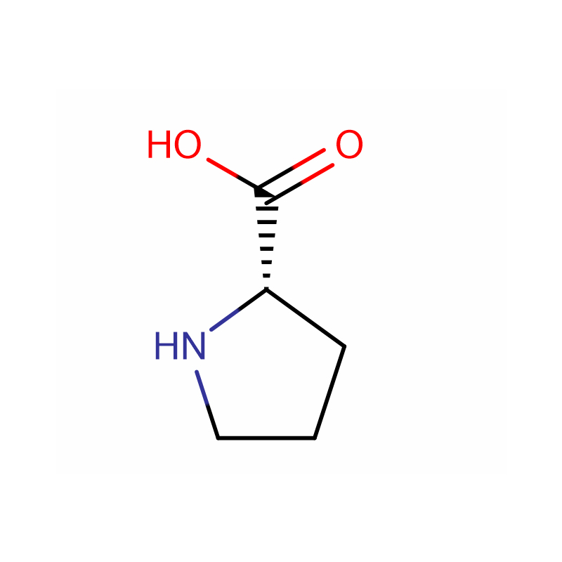 One of Hottest for Pfizer - L-Proline Cas: 147-85-3  99%  White powder – XD BIOCHEM