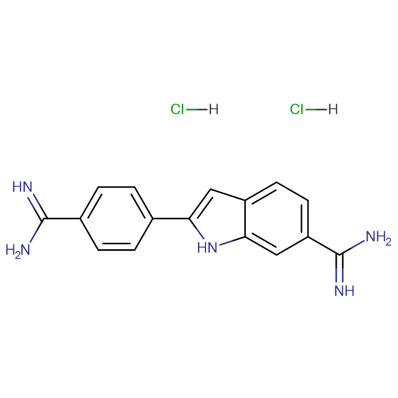 DAPI (4,6-Diamidino-2-phenylindole dihydrochloride)  CAS:28718-90-3  99% Yellow powder