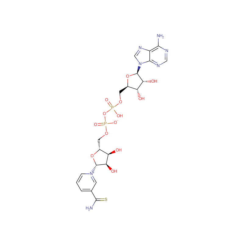 Thio-Nicotinamide Adenine Dinucleotide (Thio-NAD)   Cas: 4090-29-3
