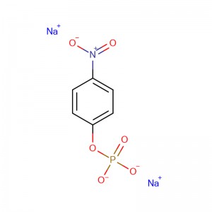 OEM manufacturer Mes Hemisodium Salt - 4-Nitrophenyl phosphate disodium salt hexahydrate CAS:4264-83-9  Off-white to light yellow coloured crystalline powder – XD BIOCHEM