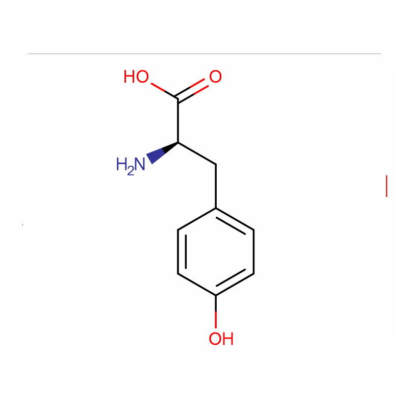 Factory Price For Patented Drug - D-Tyrosine  Cas: 556-02-5  99%  White powder – XD BIOCHEM