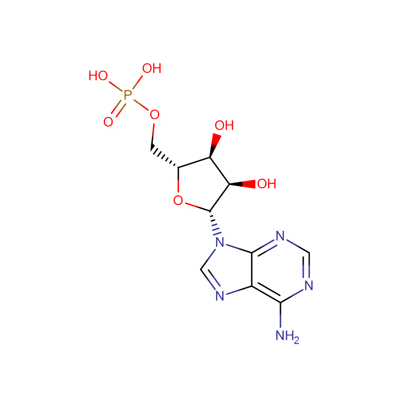 Adenosine 5′-monophosphate  CAS:61-19-8 99% White crystal powder