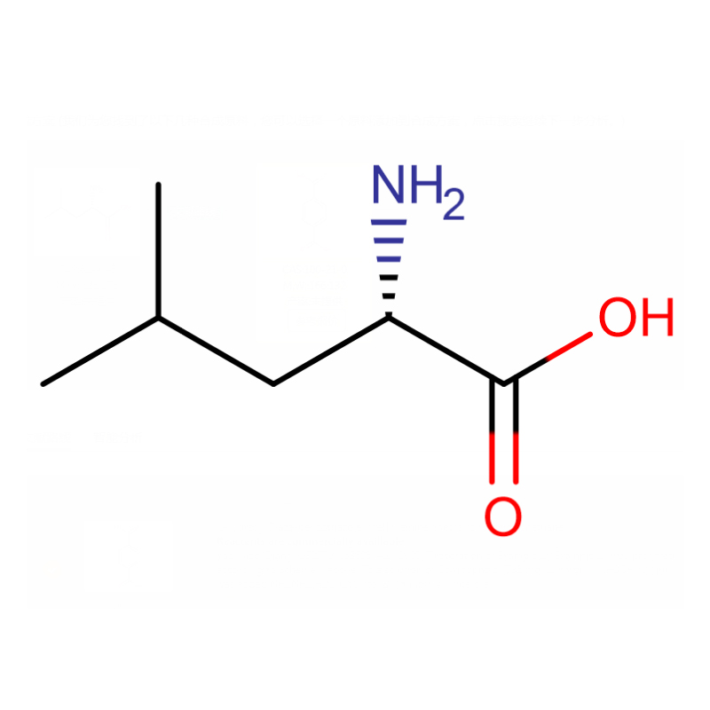 OEM Supply Daf - L-Leucine  Cas: 61-90-5  99%  White powder – XD BIOCHEM